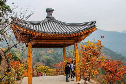 GREAT WALL TRAIL RUN  (BADALING)